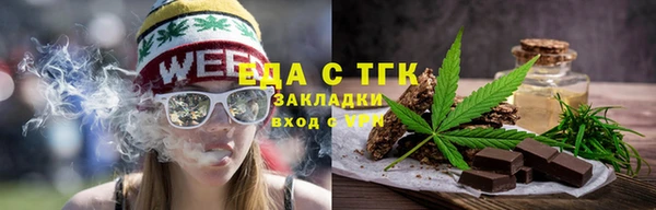 спиды Ельня