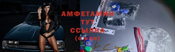 a pvp Бородино