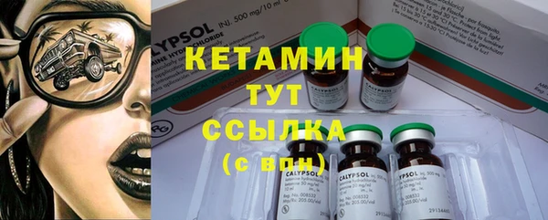 индика Богородицк
