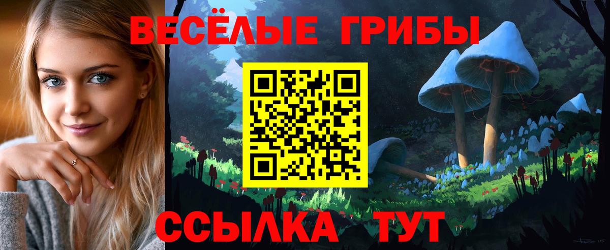Галлюциногенные грибы Psilocybe  Вход с VPN  где продают наркотики  Надым  Галлюциногенные грибы GOLDEN TEACHER 